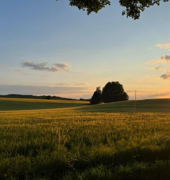 Sonnenaufgang in Polen Masuren